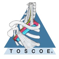 Thoracic Outlet Syndrome Centre of Excellence (TOSCOE®) logo - Similar company to Auricle