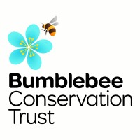 Bumblebee Conservation Trust logo - Similar company to Bumblebee