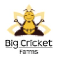 Big Cricket Solutions logo - Similar company to Cricket Technologies