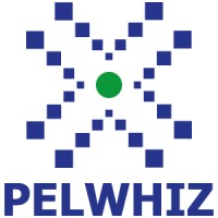 Pelwhiz Technologies Private Limited