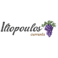 ILIOPOULOS S.A. logo - Similar company to Asep - Supreme Council For Civil Personnel Selection Of Greece