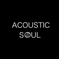 AcousticSoul原声之魂 logo - Similar company to 有光Ushine