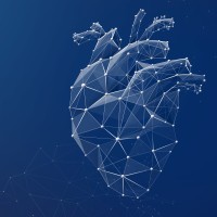 x-cardiac GmbH logo - Similar company to Stadtfarm