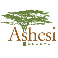 Ashesi Global Services logo - Similar company to Fuunction