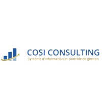COSI CONSULTING logo - Similar company to Cosi Consulting