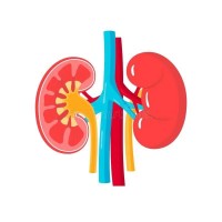 ModeRenal logo - Similar company to Home Dialysis Partners