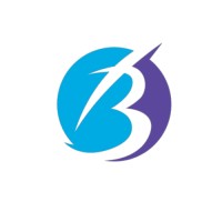 Bukhari Consultancy logo - Similar company to Head Start Consultancy