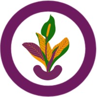Pteka Playground logo - Similar company to Erê Lab