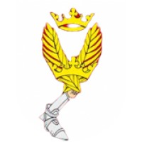 FV Consultancy logo - Similar company to Thornton Peak