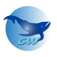 Nca_Marketing