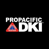 DKI - Pro Pacific logo - Similar company to Pacific Property Group