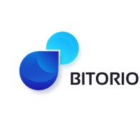 Bitorio Technologies logo - Similar company to Hedgex
