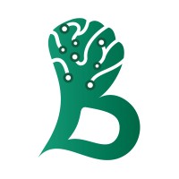 Brainsouls logo - Similar company to Innovative Software Solutions