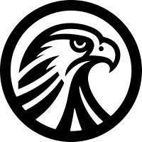 Black Falcon logo - Similar company to Gpc It