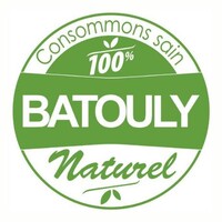 Batouly logo - Similar company to Sabakh Services