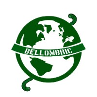 Bellombric logo - Similar company to Hotsoft
