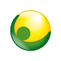 PEGASO SRL logo - Similar company to New Automation Solution