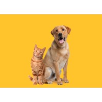 Petfly