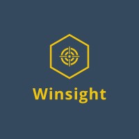 Winsight logo - Similar company to Wingsight