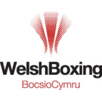 Denbigh & District Boxing Club logo - Similar company to Redkite Thai Boxing