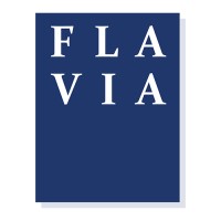 FLAVIA IT-Management GmbH logo - Similar company to Neeeu Spaces Gmbh