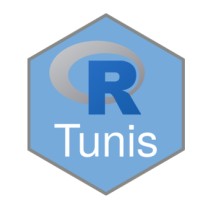 Tunis R User Group logo - Similar company to Conect Tunis