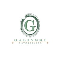 Galinski Enterprises logo - Similar company to Brainome