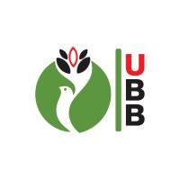 United Beyond Borders logo - Similar company to Simad Creative Studio