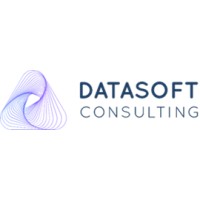 Datasoft consulting logo - Similar company to Datasoft Consulting