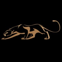 Puma Capital logo - Similar company to Puma Capital Group