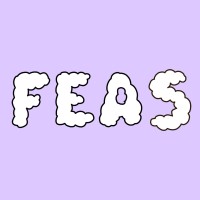 FEAS logo - Similar company to Chârles Bcn