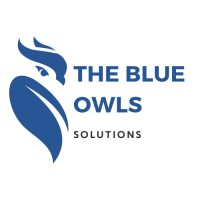 The Blue Owls logo - Similar company to Three Decisions