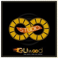 ELIWOOD STUDIO logo - Similar company to Elirone