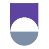 The Literal Company logo - Similar company to Leanback Digital