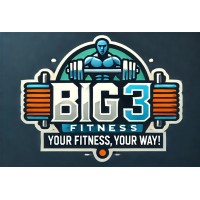 Big 3 Fitness logo - Similar company to Origin I