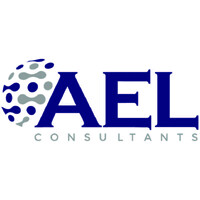 AEL Consultants Pvt Ltd logo - Similar company to Netzlinx Digital