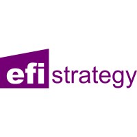 EFI Strategy logo - Similar company to Verax Capital Advisors