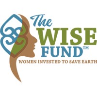 The WISE Fund logo - Similar company to Young Black & Giving Back Institute