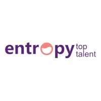 Entropy Top Talent logo - Similar company to Ibrido