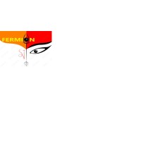 Fermion -NDT and Asset Integrity Management Services logo - Similar company to Ritc Mozambique