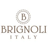 Brignoli logo - Similar company to Texcene S.P.A.