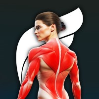 Fitonomy logo - Similar company to Securescanners.Com