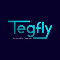 Tegfly logo - Similar company to Tegrand Infotech