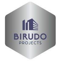 Birudo Projects logo - Similar company to Leveragesn
