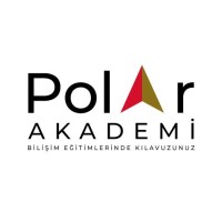 Polar Akademi logo - Similar company to Nitroex