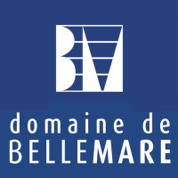 DOMAINE DE BELLE MARE logo - Similar company to Le Sobre Chartrons (Sas Fidel)