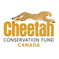 Cheetah Canada logo - Similar company to Star Copper Corp