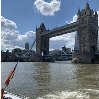 Tower Bridge Quay logo - Similar company to Mission Dynamics