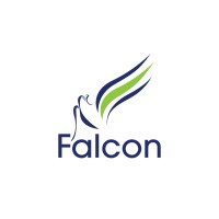 Falcon Oilfield Services logo - Similar company to Tgt Diagnostics