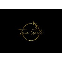 Twin Souls logo - Similar company to Twin Soul Studio